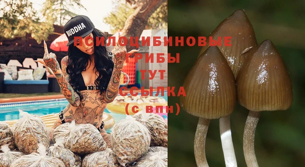 прущая мука Заволжск