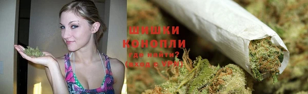 spice Заводоуковск