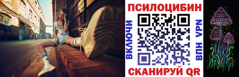 Купить где  Волжск  Псилоцибиновые грибы Psilocybine cubensis 